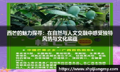 OETY欧亿体育登录